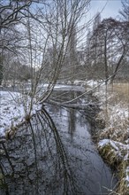 Weather feature, Winter, Canal in Charlottenburg Palace Gardens, Berlin, Germany, Europe