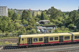 S-Bahn at the allotment garden site Westkreuz, Dernburgstraße, Charlottenburg, Berlin, Germany,