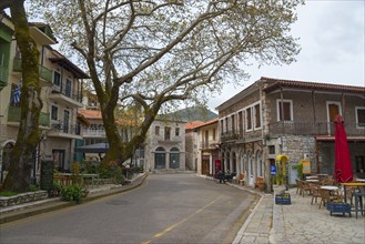 View of a quiet street with trees and traditional buildings under a cloudy sky, Andritsaina,