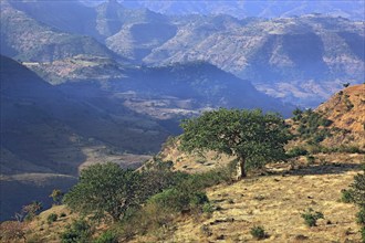 In the highlands of Abyssinia, landscape in the Semien Mountains, Ethiopia, Africa