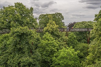 Visitors on the Treetop Walkway, steel structure, Royal Botanic Gardens (Kew Gardens), UNESCO World