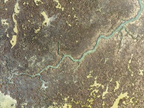 Marshland at low tide. Nature Reserve La Breña y Marismas del Barbate. Aerial view. Drone shot.