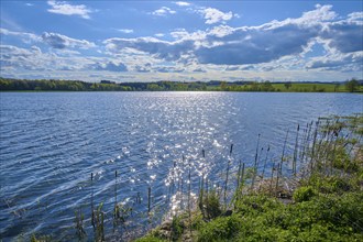 Ober Moosersee surrounded by green fields and trees under a partly cloudy blue sky, spring,