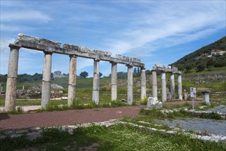 A row of ancient columns against a mountain backdrop bears witness to a bygone civilisation,