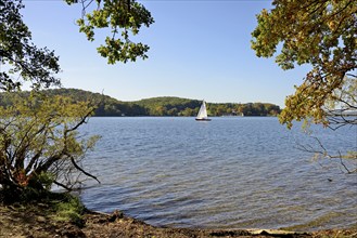 Deciduous trees with autumn leaves on the lakeshore, sailing boat on the Möhne dam, blue sky, North