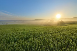 A picturesque sunrise over a wide green field and a gentle hilly landscape, Mönchberg, Mltenberg,