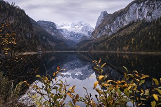 The Vordere Gosausee lake in autumn with a view of the Dachstein mountain range. The Gosaukamm on