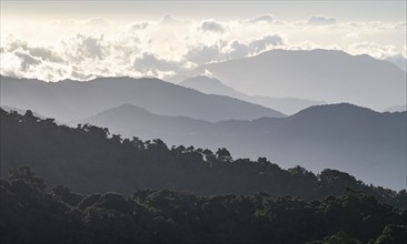 Clouds over cloud forest, mountain rainforest, Parque Nacional Los Quetzales, Costa Rica, Central