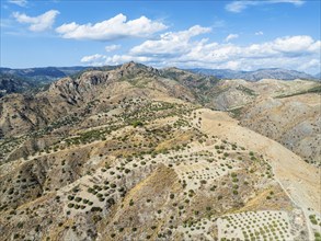 Mountains and Olive groves around Ghost Town from a drone, Pentedattilo Village, Calabria, Italy,