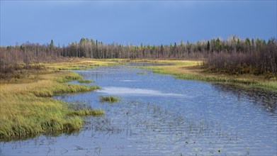 Autumnal river landscape Vuostimonjoki, Lapland, Finland, Europe