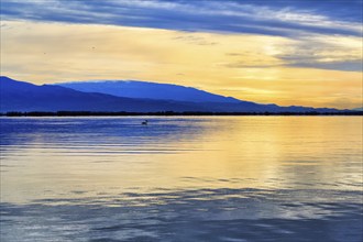 Sunrise at Lake Kerkini, Lake Kerkini, Silhouette, Central Macedonia, Greece, Europe