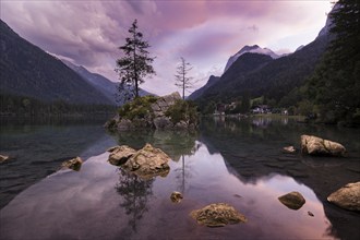 Hintersee with rocks and trees in the foreground, surrounded by mountains after sunset with