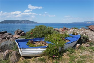 Old boat filled with plants on a rocky shore with sea view and flowers, Agíos Nikólaos, Agios