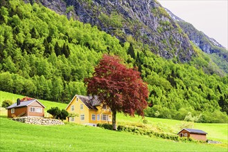 Mountains and Fjord over Norwegian Village, Olden, Innvikfjorden, Norway, Europe