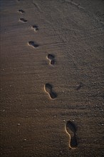 Footprints, sandy beach, Meia Praia beach, Lagos, Atlantic Ocean, evening light, Algarve, Portugal,