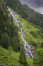 High waterfall flowing over a steep forested mountain face, Stilluptal, Zillertal. Austria