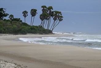 Beach, Petit Loango, Loango National Park, Parc National de Loango, Ogooué-Maritime Province,