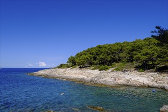 Beach, bay, Veli Žal, Mali Losinj, island of Losinj, Kvarner Gulf Bay, Croatia, Europe