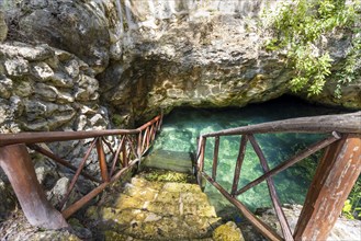 Scenic Cenote Casa Tortuga near Tulum and Playa Del Carmen, a popular tourist attraction for local