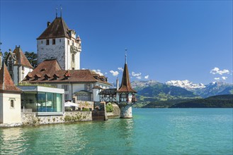 Oberhofen Castle on Lake Thun with a view of the mountains with the snow-covered Blüemlisalp,