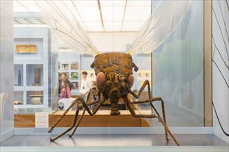 Founded in 1912, the Deutsches Hygiene-Museum is a museum in Dresden. It sees itself as a public