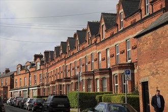 Red brick row of terraced housing, Ranelagh district, city of Dublin, Ireland, Irish Republic,