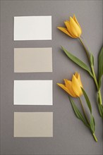 White and beige business cards and orange tulip flowers on gray pastel background. top view, flat