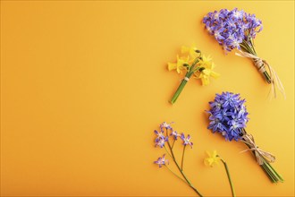 Spring snowdrop flowers bluebells, narcissus on orange pastel background. top view, flat lay, copy