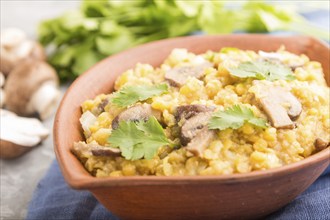 Lentils porridge with champignons and coriander in a clay bowl on a gray concrete background and