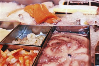 Close-up of a fish counter with fish and seafood