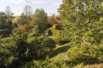 Park with green lawn, trees, hedges, trimmed bushes in autumn. Modern landscape design