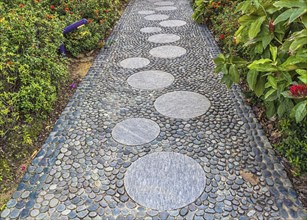 Decorative garden path of gray pebbles