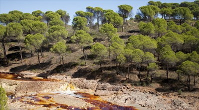 Blood red mineral laden water Rio Tinto river Minas de Riotinto mining area, Huelva province,