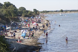 Late afternoon crowded summer sandy beach, Studland Bay, Swanage, Dorset, England, UK