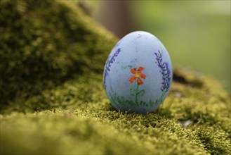 Painted colourful Easter egg lying on moss in a tree fork, Germany, Europe