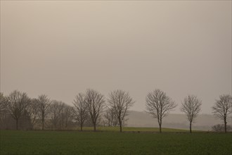 Large quantities of Sahara dust obscure the sun, Cunnersdorf, Saxony, Germany, Europe