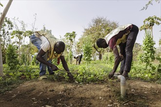 Farmers practising organic farming at the agroecological training centre Centre Beo-Noree in