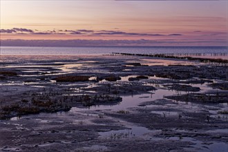 Evening tidal flat landscape shortly after sunset at low tide in the Wadden Sea National Park.