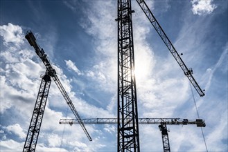 Construction cranes on two large construction sites, construction of office buildings in