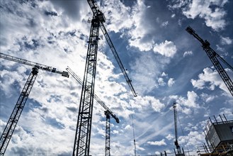 Construction cranes on two large construction sites, construction of office buildings in