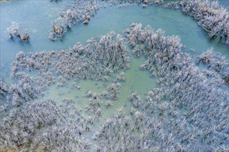 Flooded forest with dead trees, river Rio Norte damned by landslide creating a new lake, aerial