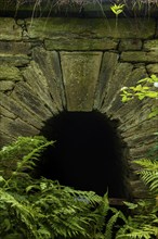 Mouth hole, Drei Fürsten Stolln, Halsbrücke, Halsbrücke, Saxony, Germany, Europe