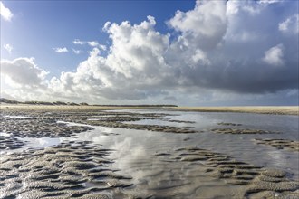 North Sea, Spiekeroog Island, autumn, in the east of the island, Wadden Sea at low tide, East