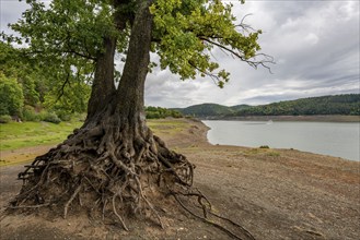 Lake Edersee, near Waldeck, the third largest reservoir in Germany, is currently at just under 13%