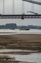 Rhine at Emmerich, extremely low water, Rhine level at 0 cm, falling trend, Rhine bridge B220,