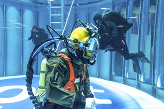 Federal Navy mine divers present themselves in the diving tank in the diving hall at BOOT 2024, the