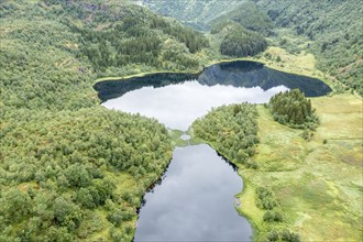 Aerial view of a lake with plants growing in a structure around a circle, near Digermulen on