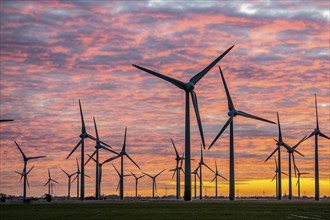 Wind farm near the East Frisian town of Norden, east of the town, sunset, Lower Saxony, Germany,