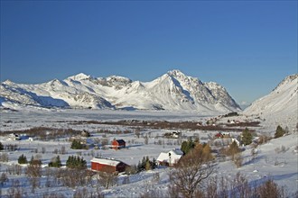 Borg on the Lofoten Islands in winter, Borg, Norway, Scandinavia, Europe