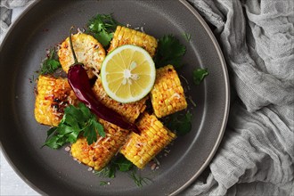 Grilled corn with spices, top view, no people, homemade